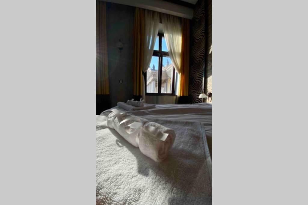 Safari Royal Apartment Oradea Dış mekan fotoğraf